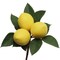 24 Sunny Yellow Lemon Picks - 8" - Lifelike Indoor Decor, Floral Home by Artificial Flowers